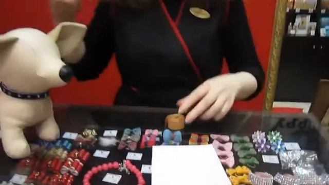как определить размер обуви для собак