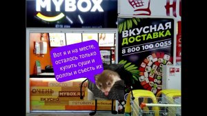 История о том, как я сходил за роллами и суши в MYBOX | Захар4iк мультик. 5-я серия