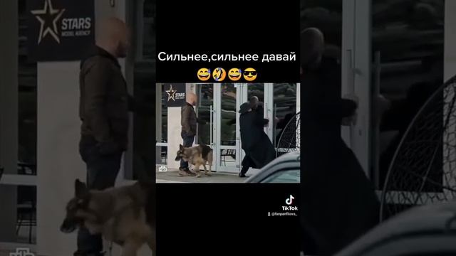 пёс-смешные моменты??? смотреть онлайн