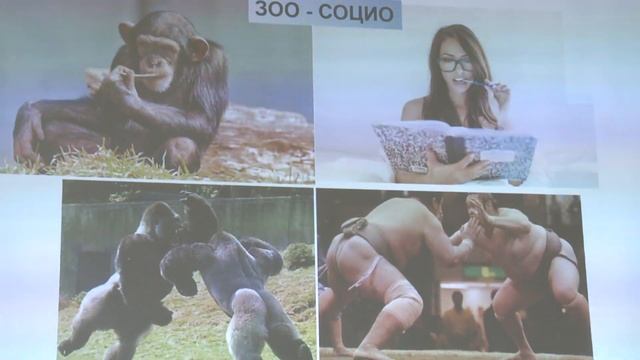 Иваницкий В. В. - Зоосоциология - Социальность у животных смотреть онлайн