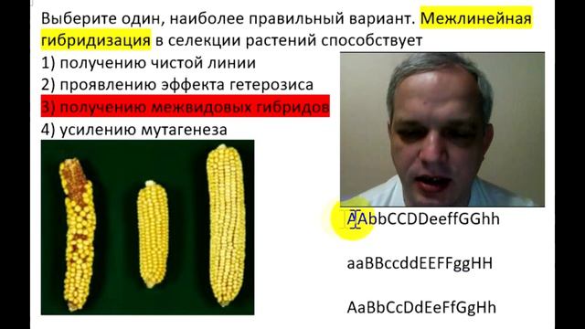 Видео-объяснение для Биоробота смотреть онлайн