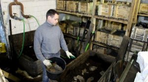 БиоГром RZN Подготовка корма для червя Старатель