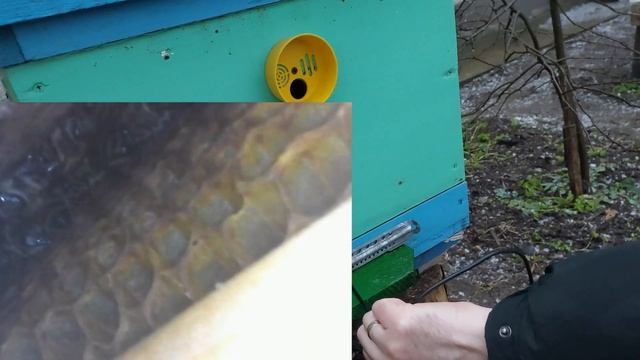 Определение количества кормов не открывая улей! смотреть онлайн