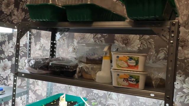 как собрать дешевый стеллаж с подсветкой для рассады | ПОДСВЕТКА ДЛЯ РАССАДЫ смотреть онлайн