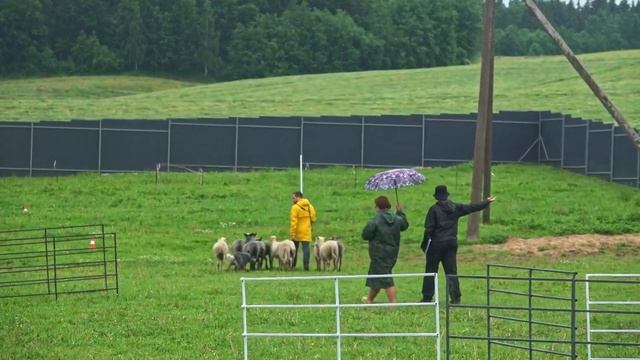 ACD Docker (BFB Bosco) IHT-TS1 смотреть онлайн