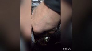 Хонда CRV стук двигателя. Проблема решена.