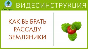 Рассада земляники в питомнике Сады Урала. Телепередача Земля Уральская. Архив 23.06.2011