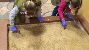 Профессия АРХЕОЛОГ!