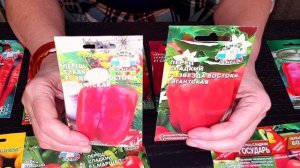 Обзор семян Сладкого Перца. Лучшие Сорта Перца сладкого. Семена Аэлита, Седек, Поиск, Саката.