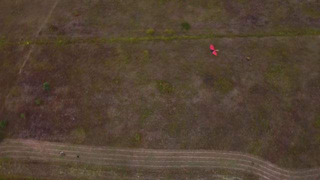 Запуск воздушного змея смотреть онлайн