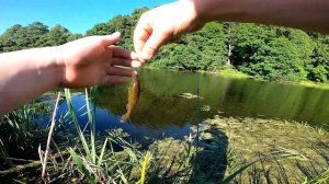 ловля ротана на ультралайт и наноджиг