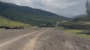 А как начинается ваше утро?