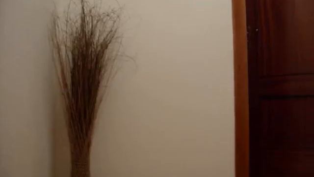 Inperfections. смотреть онлайн