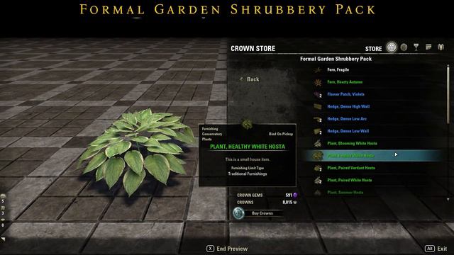 ESO: Crown Store May 08, 2023 смотреть онлайн