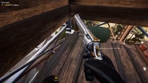 FAR CRY 5 Бонус #2 Тайник под мостом  Горелка, кошки