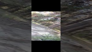 1 часть копии