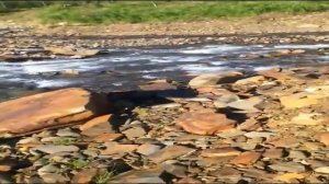 золото, рыбалка и люди севера Бодайбо Иркутская оласть