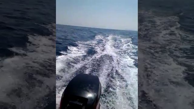 Quick silver 380 hd mercury 15hp смотреть онлайн