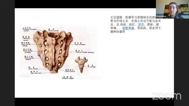 Лекция «Топология преград Микрокосмической орбиты» Крылова Екатерина смотреть онлайн