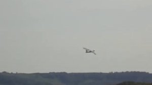 Видео с места забора воды самолетом-амфибия Бе-200 для тушения лесного пожара в г.о.г. Дзержинск