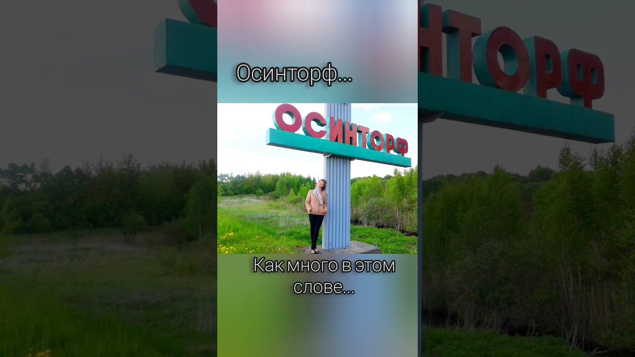 Осинторф...как много в этом слове. смотреть онлайн