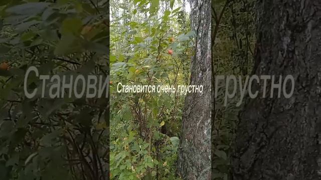 Грустно очень