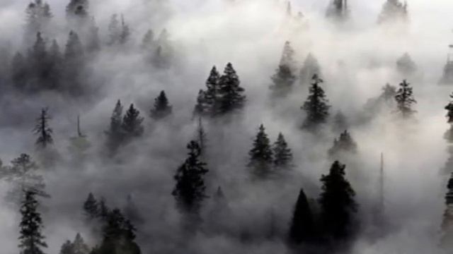 Magic Fog смотреть онлайн