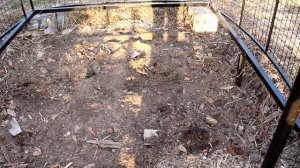 Мечта пивовара или беседка для хмеля