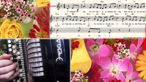 УСЛЫШЬ МЕНЯ, ХОРОШАЯ баян, ноты в ре миноре