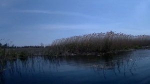 44 Рыбалка. Новая лодка ПВХ Муссон- 3200!.Супер клёв краснопёрки на хлеб! //Russia fishing gustera