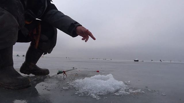 Веселовское водохранилище 2021-шикарный клев!!!!