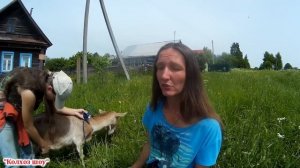 Куда девать козий пух//Вычесывание коз