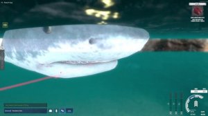 Ultimate Fishing Simulator 2: Caught 790 kg Tiger Shark! (New Record)