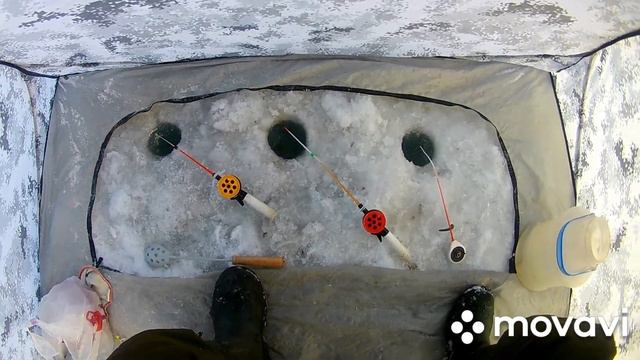 На рыбалке магнитная буря! 🤣 смотреть онлайн