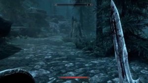 SKYRIM-Post Survivor Play-P238