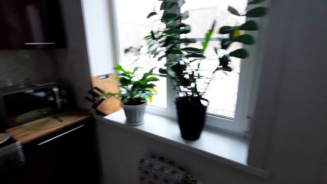 ДП 🍽: ела больше чем нужно и снова + на весах смотреть онлайн