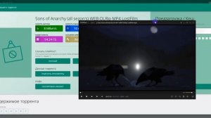 TorrServer Matrix установка на Synology.DS923+ AMD Xpenology