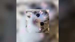 сердце пылает, горит для тебя - speed up