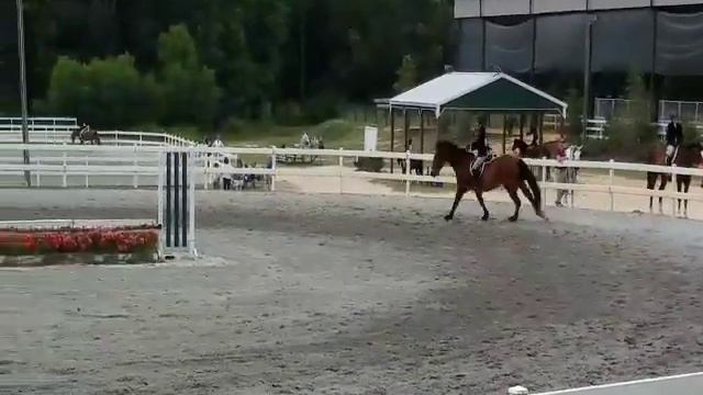 For Lease, Travler (Bud) Horse Show Leases смотреть онлайн