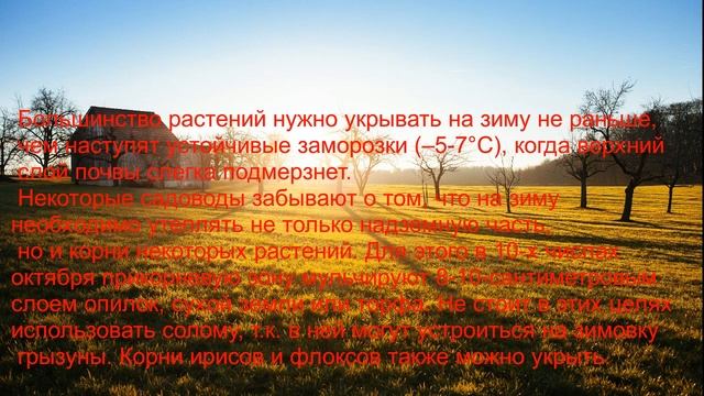 ТОП 5 осенних ошибок дачников! смотреть онлайн