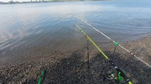 короткая рыбалка на Дону 8 августа. Volgodonsk. Волгодонск