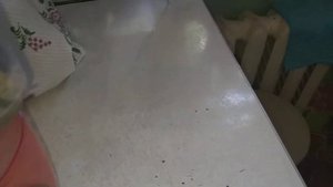 Орхидея Алладин.Какие новости у нее?🍀