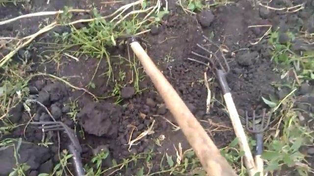 Копаем картошку. Приспособа.