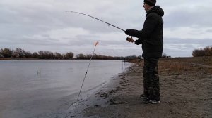 Крупный Карась осенью. Как ловить Карася. Ловля Карася на донку с кормушкой.