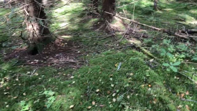 Время идёт. смотреть онлайн