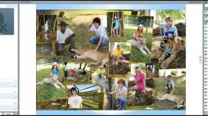 Самостоятельное путешествие на МАВРИКИЙ