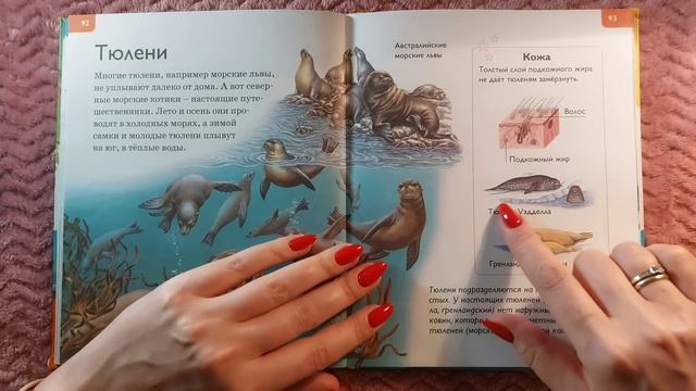 АСМР книга, энциклопедия часть 4. Животные • ASMR близкий шепот, чтение для сна смотреть онлайн