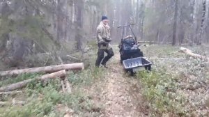 По болоту на самодельном мотобуксировщике.