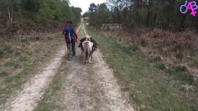 Renault Master 2 Aménagé minimaliste : Randonnée avec Pépito смотреть онлайн