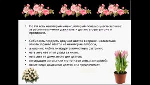 Что подарить, цветок в горшке или букет